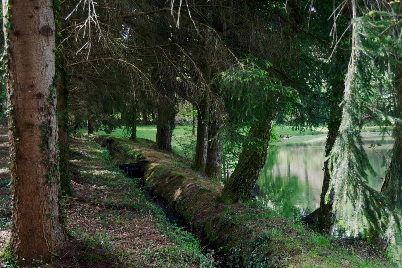 Manoir De Chantemerle Sainte-Fortunade Luaran gambar